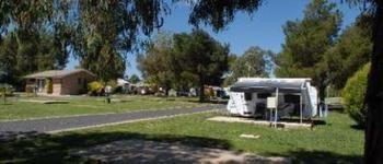 Fossicker Caravan Park Glen Innes Exterior foto