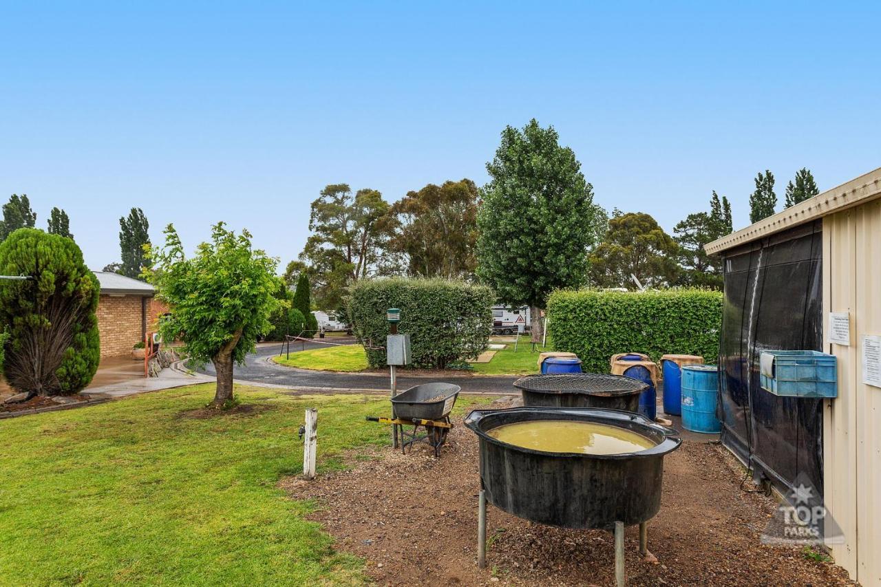 Fossicker Caravan Park Glen Innes Exterior foto